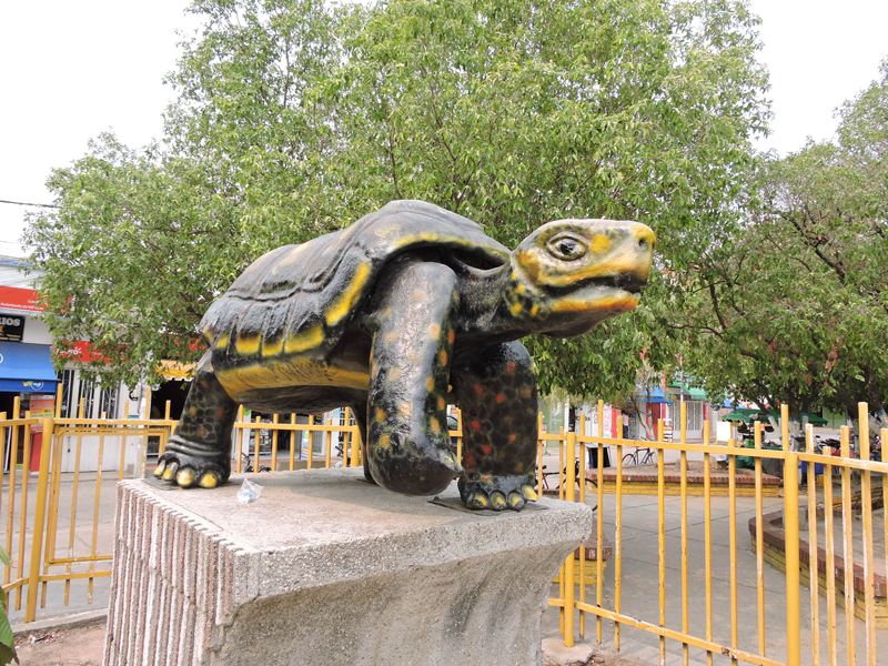 Imagen de presentación de AGUACHICA