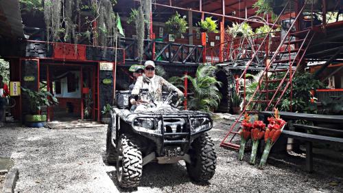 Imagen de presentación de FINCA HOSTAL LA DANTA